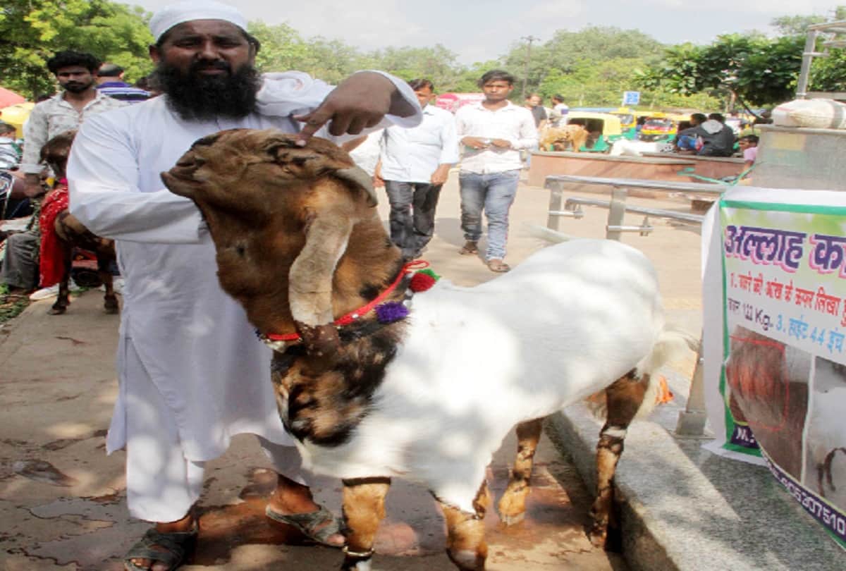 Rate of Bakra high on Bakreed 2019, available on different variants, Delhi