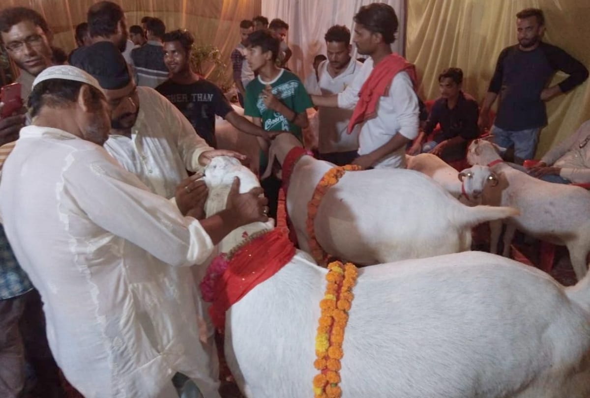 billy goat market on bakrid in lucknow