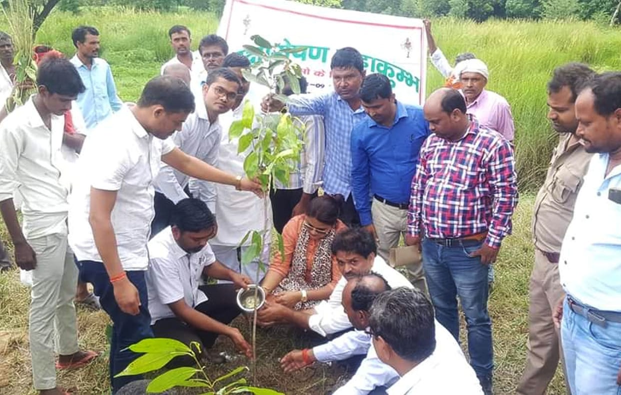 22 lakh saplings planted greenery message