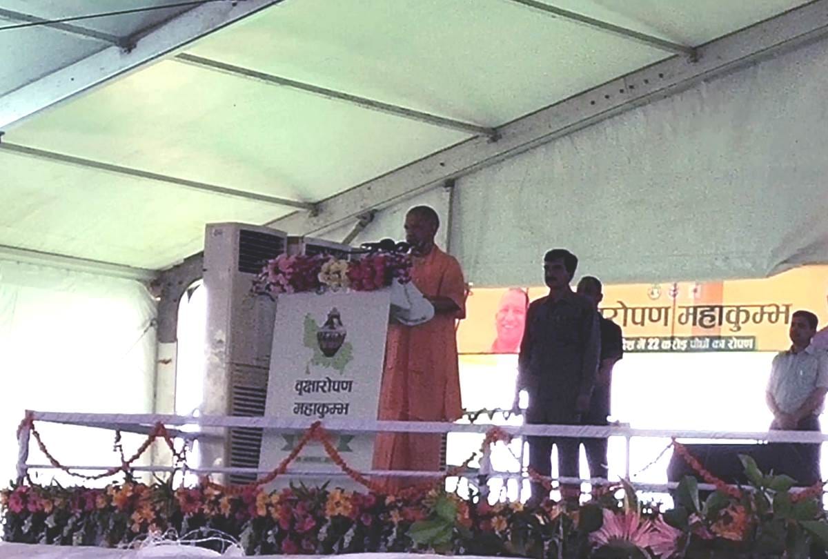 22 plants to be sown in all up, cm to inaugurate paudharopan mahakumbh