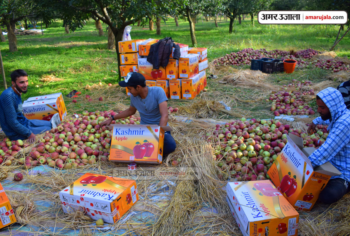 Prices of fruits and vegetables increased in Jammu and Kashmir amid lockdown