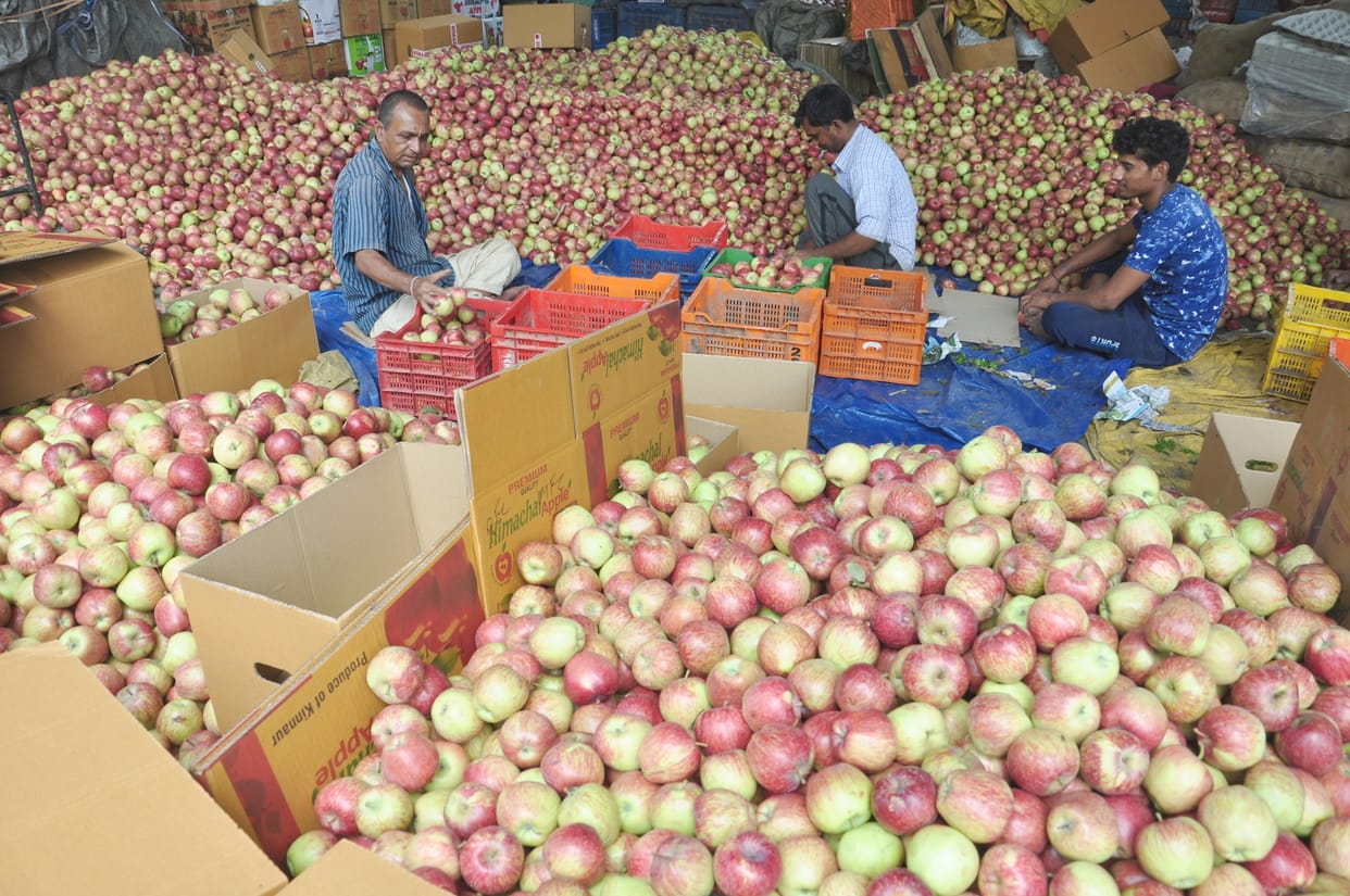 agriculture