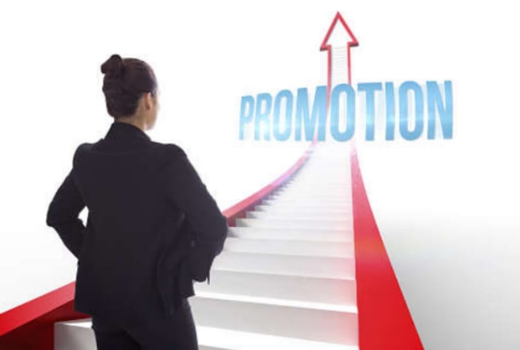 rules violation in promotions of head masters and middle head masters in haryana schools