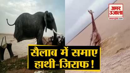 Due to heavy rains in AP’s Srikakulam Animal statues along sea coast washed away