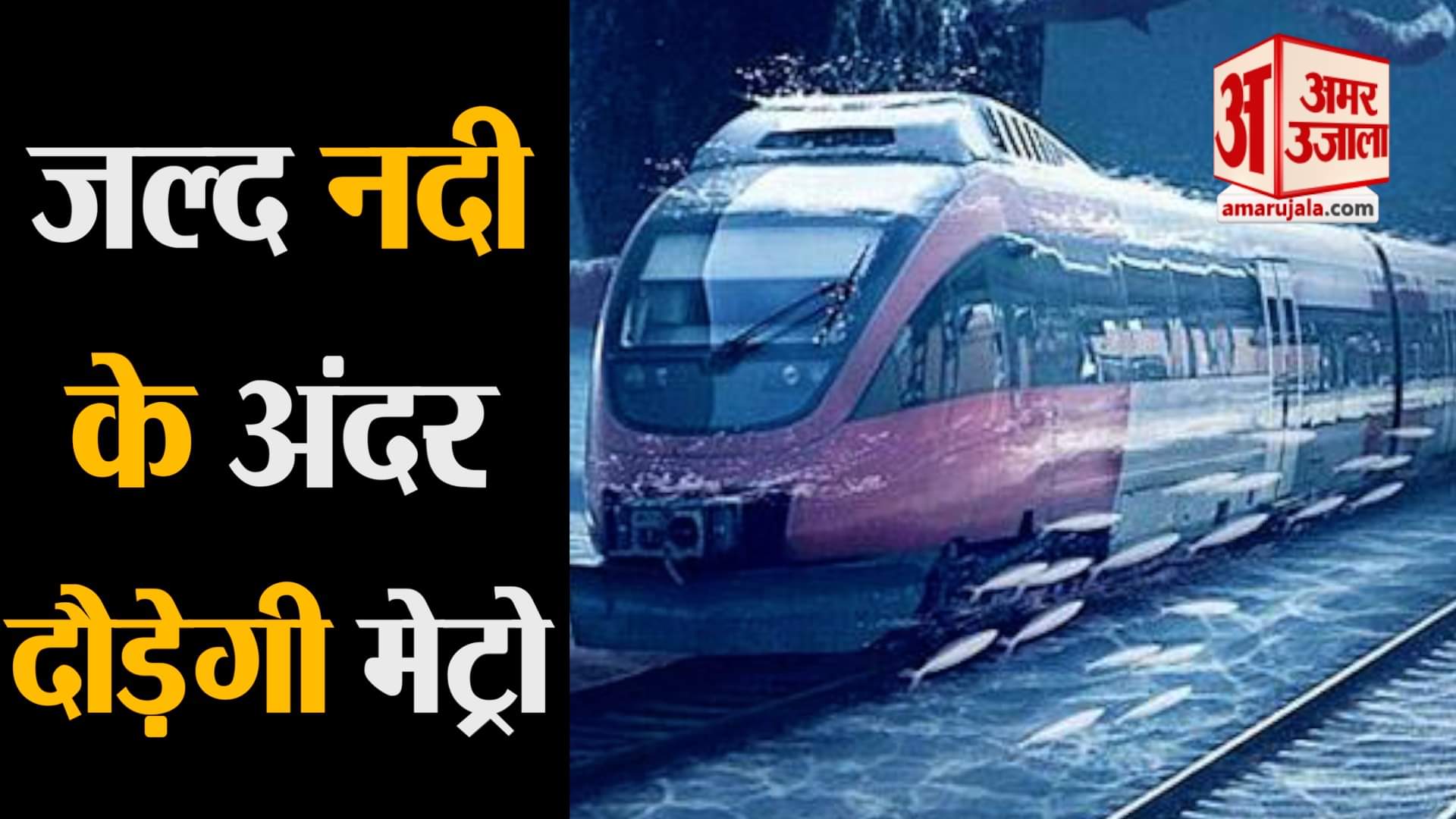 प्रतिकात्मक तस्वीर