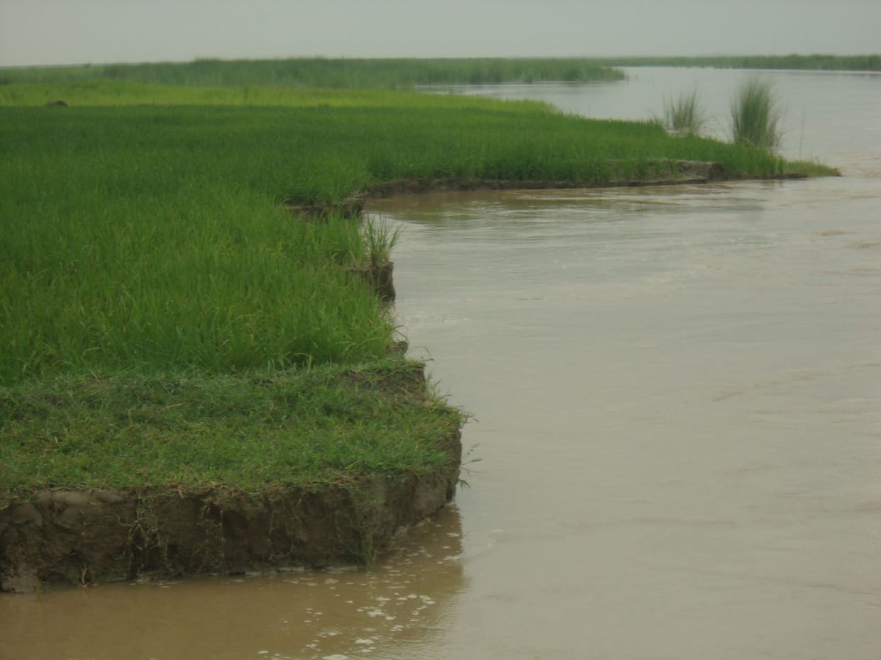 10 houses of Bhirgupurwa in Ghaghra