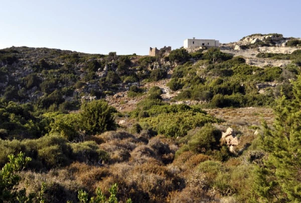 Greek Island Antikythera will pay people 40 thousand rupees per month and free home to live there