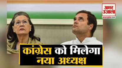 congress working committee meeting today decision on congress president, sonia rahul gandhi