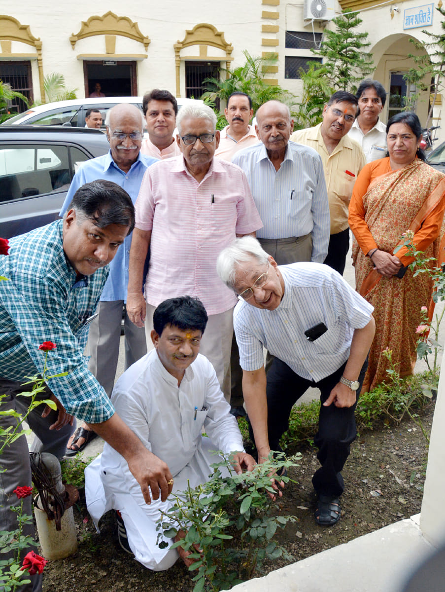 16.82 lakh plants to protect environment