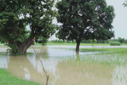 Monsoon 2019, many states in India affected due to Flood, Know Live Updates