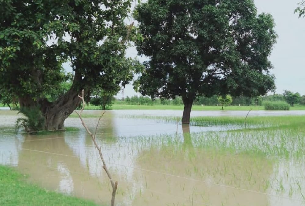 Flood in Bahraich and Barabanki.