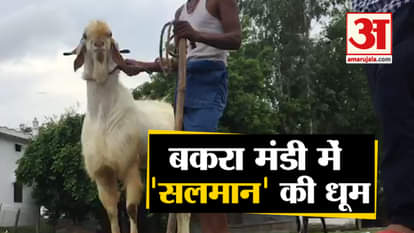 Goat priced at Whooping lakhs ahead of Eid-Ul-Adha