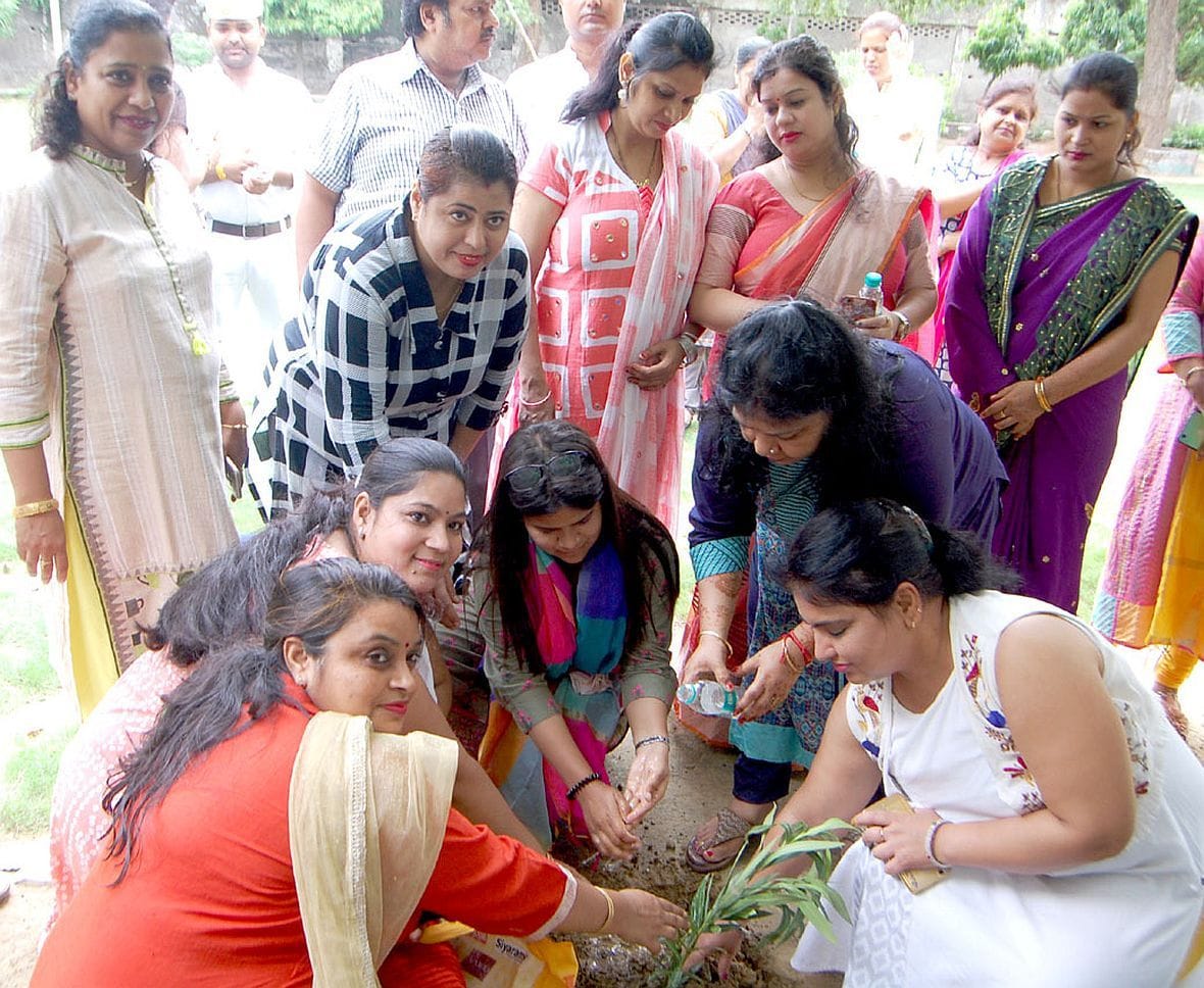 plantation in firozabad, greee