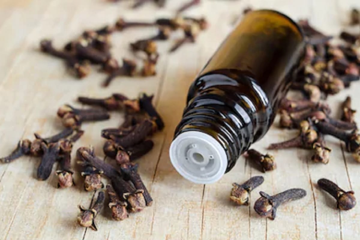 5 essential oil for reduce period pain