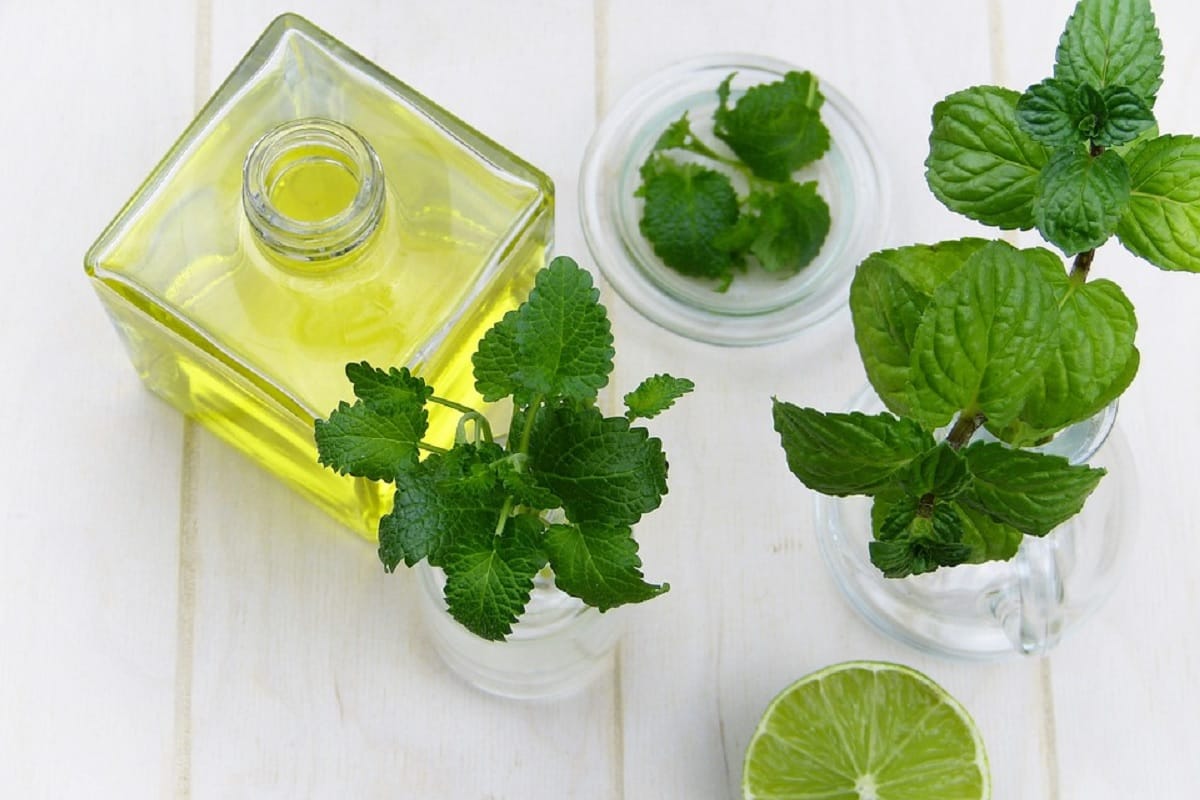 know home remedies to stop scalp itching