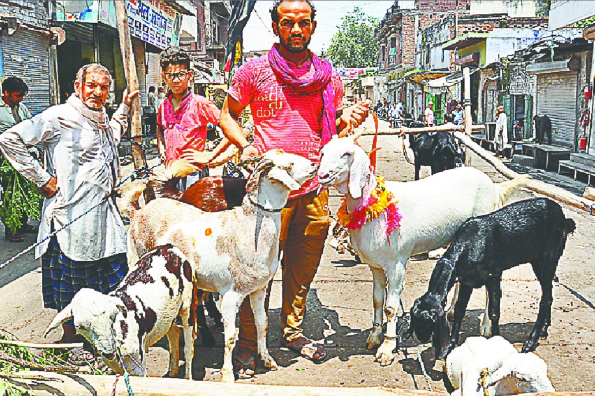 Bakrid 2019: a goat has been bought of 2.5 lakhs from market at Saharanpur city