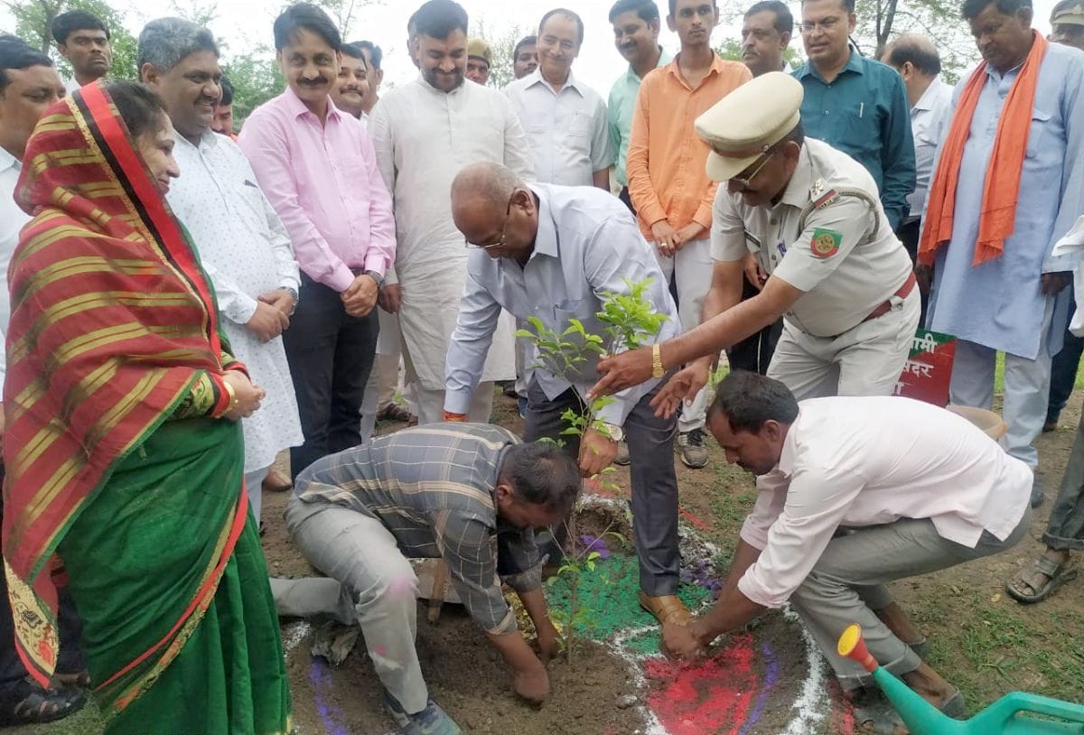 14.66 lakh saplings planted in the district under large plantation campaign