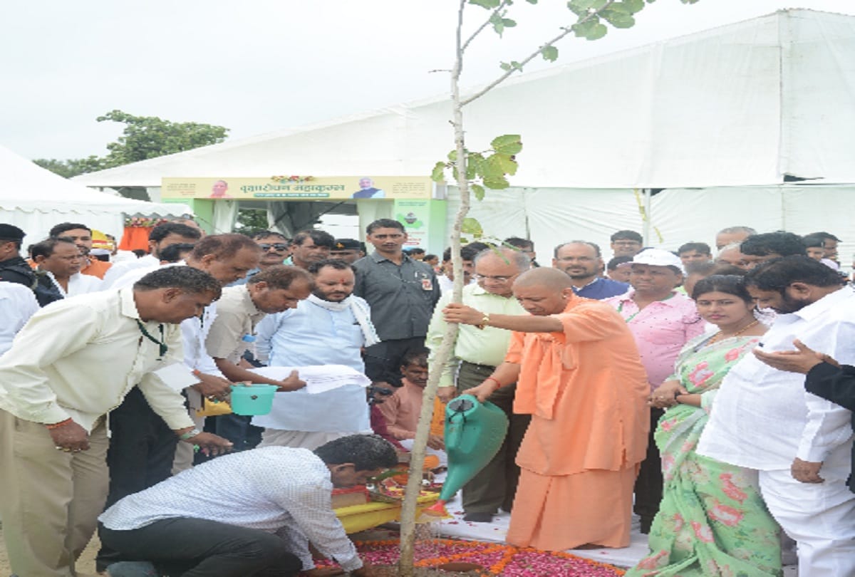 In one day four record including 24 crore Planting plants, Prayagraj, UP