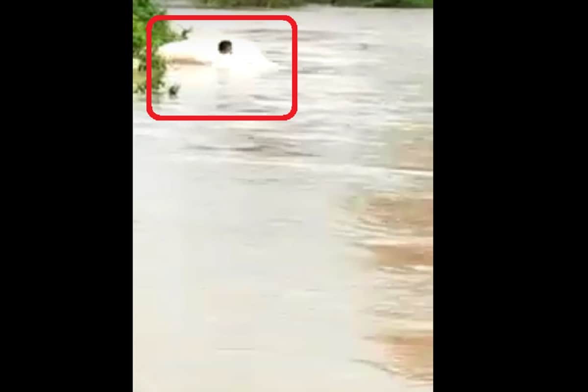 Madhya pradesh Neemuch youth jumped into river for tiktok video saved by villagers