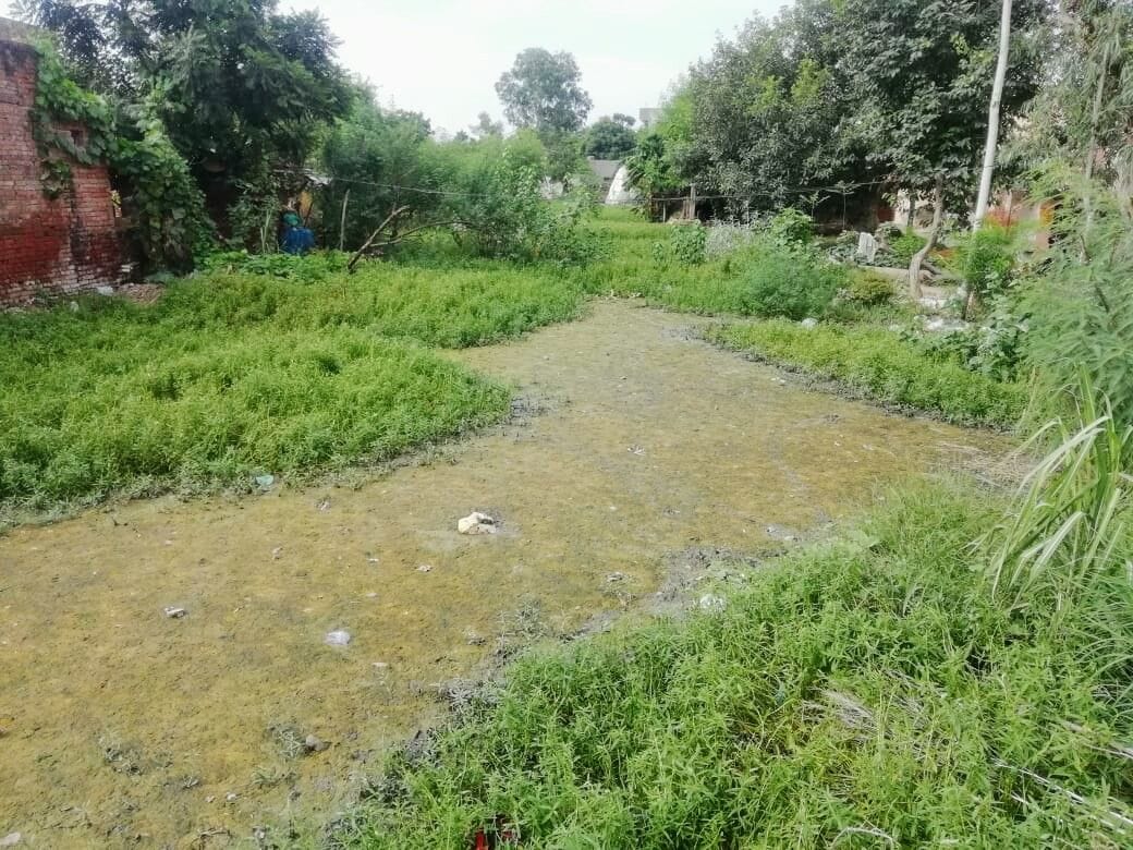local body fail in water conservation