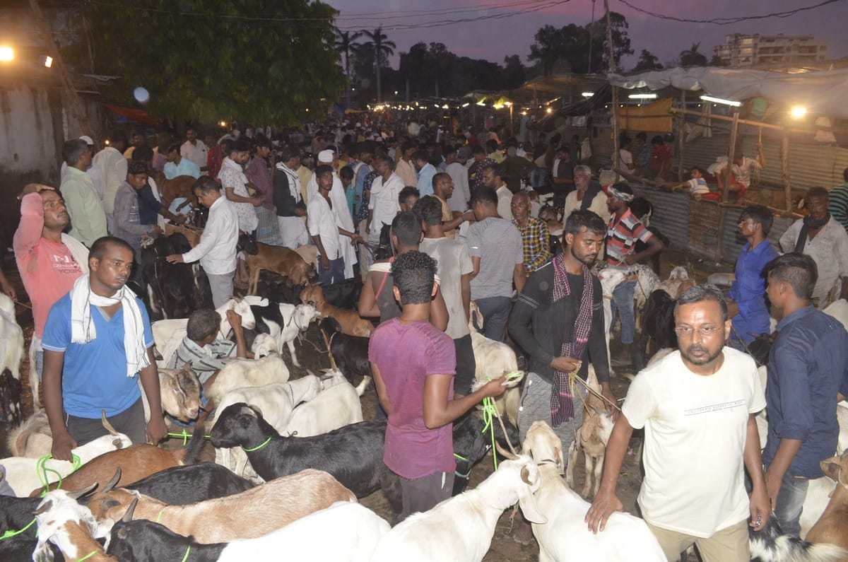 goats sold Up to one lakh rupees for Bakrid in varanasi market