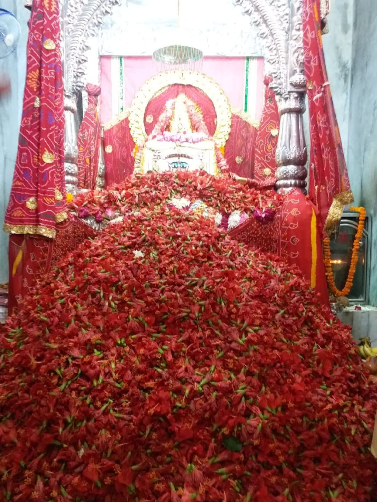 Dadi,s supernatural makeup done with a quarter million flowers