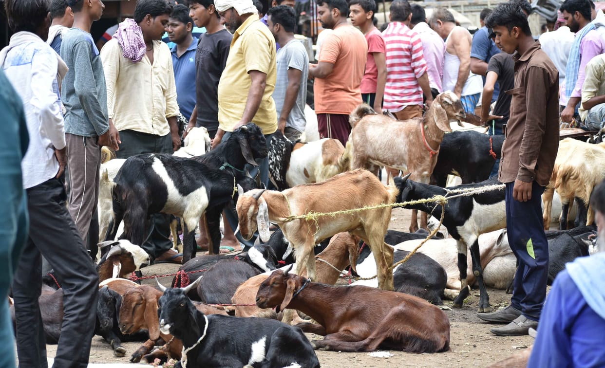 Bakrid