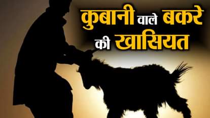 importance of bakrid