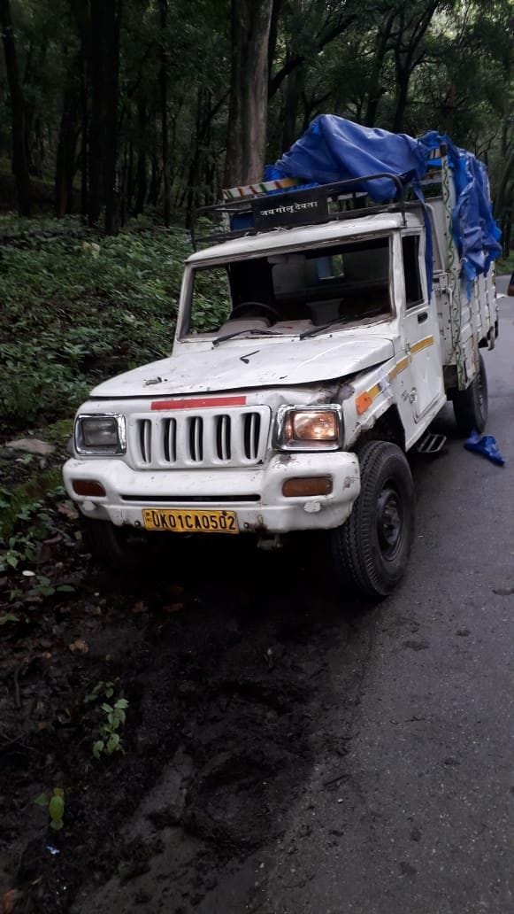 elephants attacked bolero