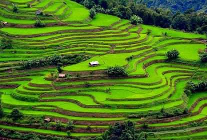 Nagaland Arunachal Pradesh and Mizoram where indian people can not go without inner line permit