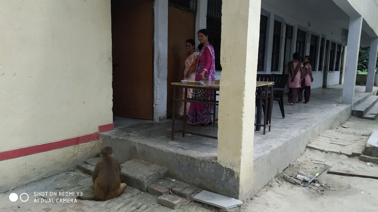 Monkey run DC girls education, For fear he shut door