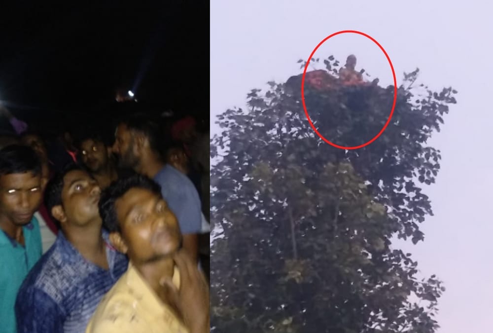 A man sits on a tree in meditative state for hours.
