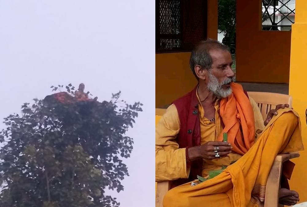 A man sits on a tree in meditative state for hours.