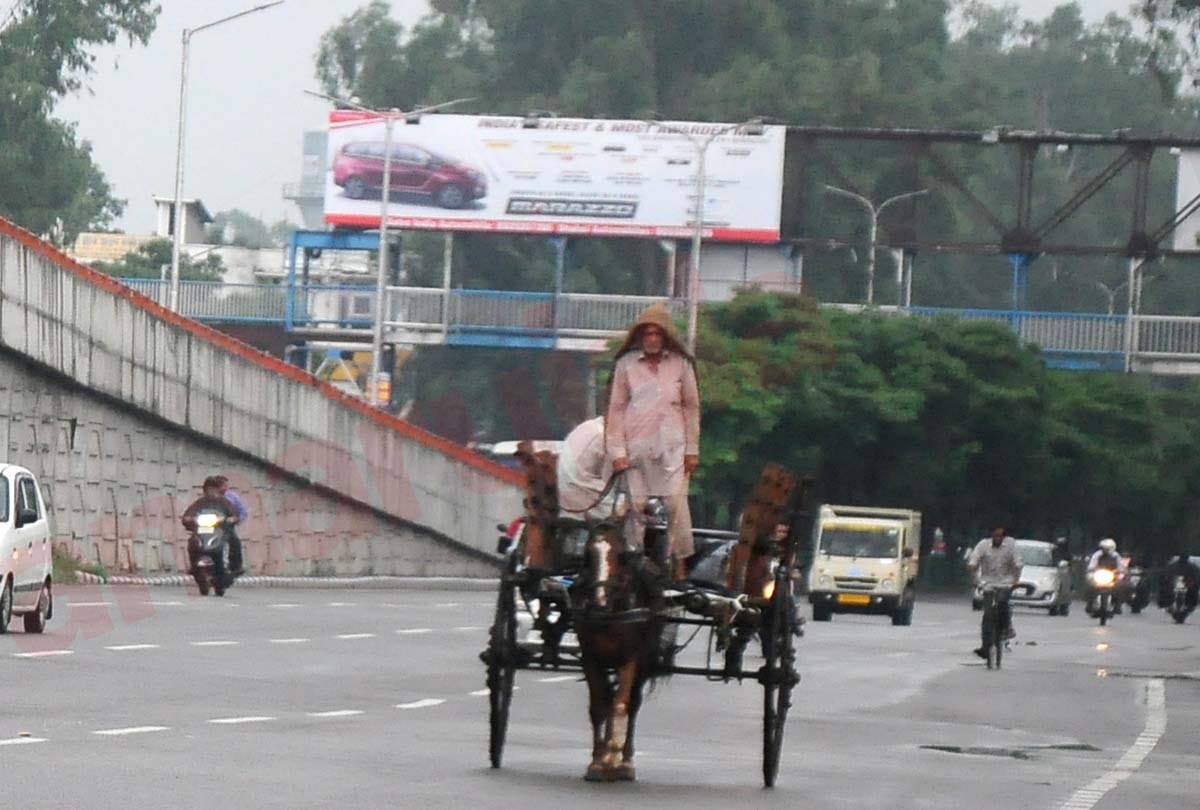 boy arrested for spreading rumors of bandh in Jammu Kashmir, Jammu Kashmir latest news and visuals