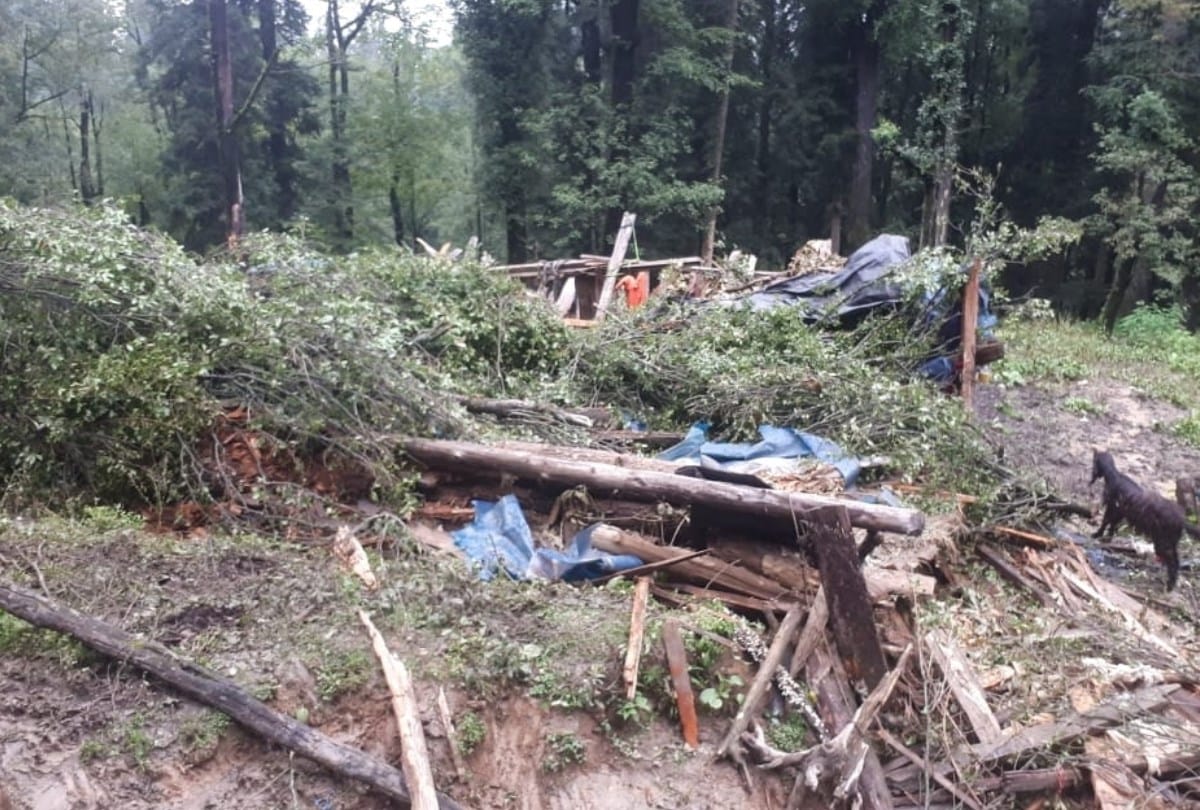 mother and daughter killed as tree fall on home in rampur himachal pradesh