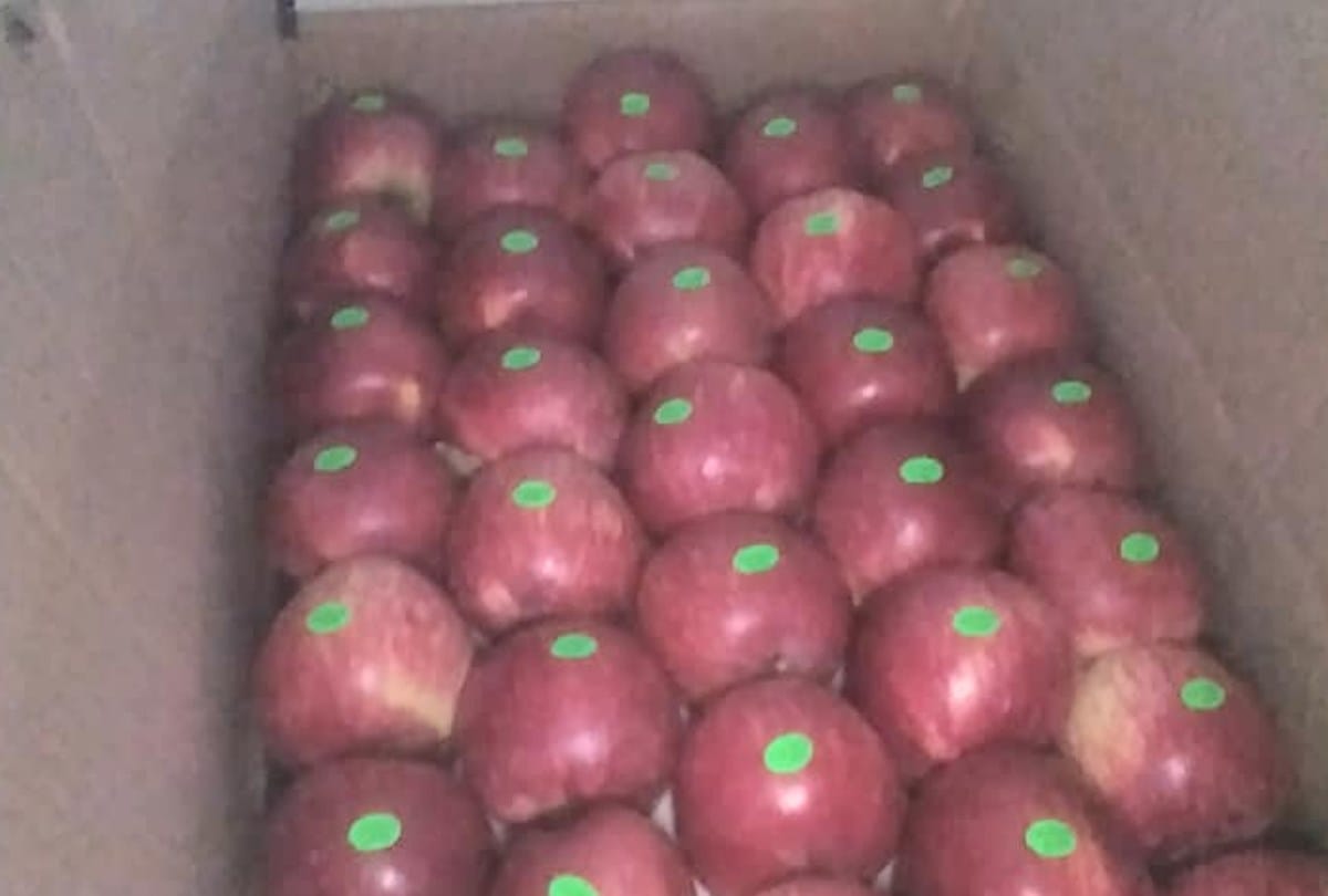 apple price declining day by day in himachal pradesh