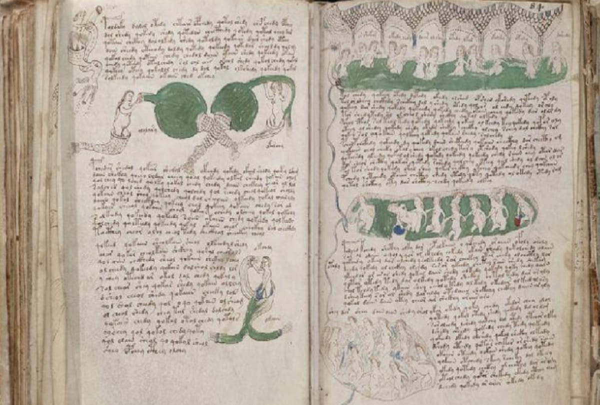 voynich manuscript most mysterious book in the world which language unable to decode