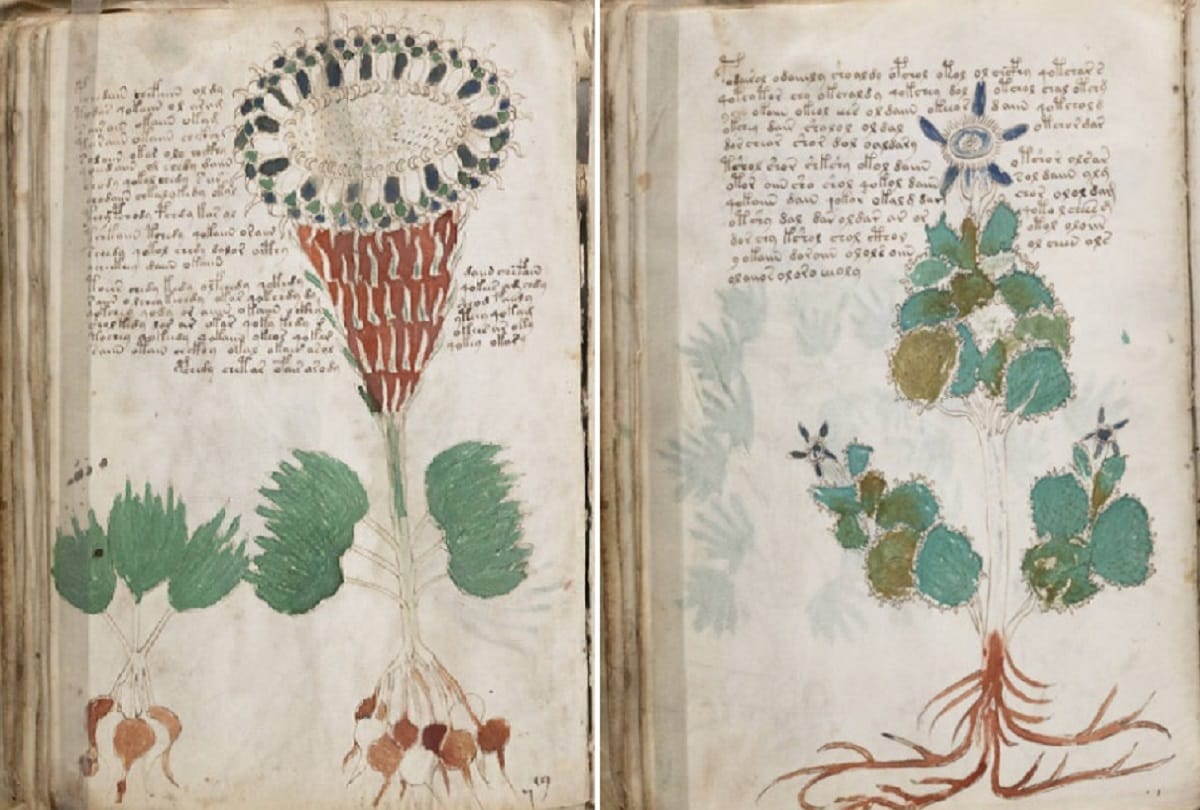 voynich manuscript most mysterious book in the world which language unable to decode