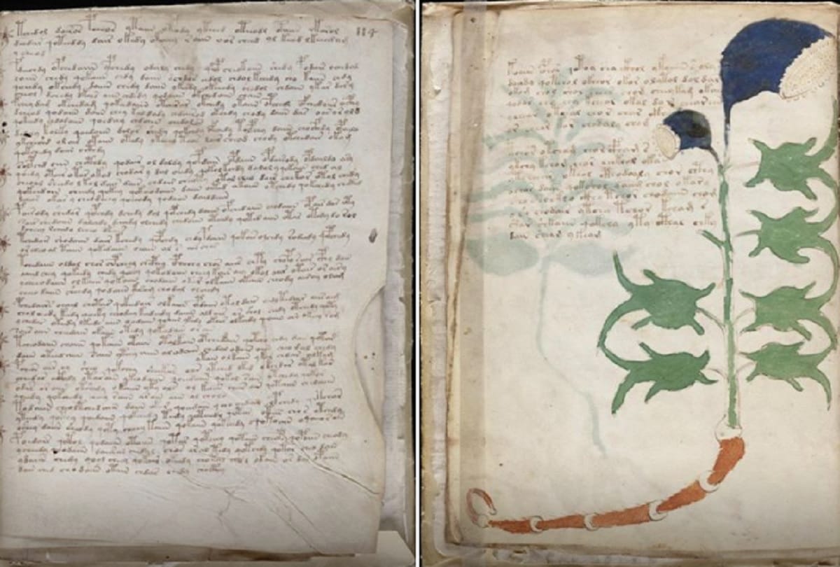 voynich manuscript most mysterious book in the world which language unable to decode