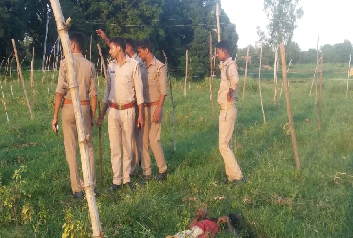 Hypertension line collapsed in field, Farmer Burnt alive