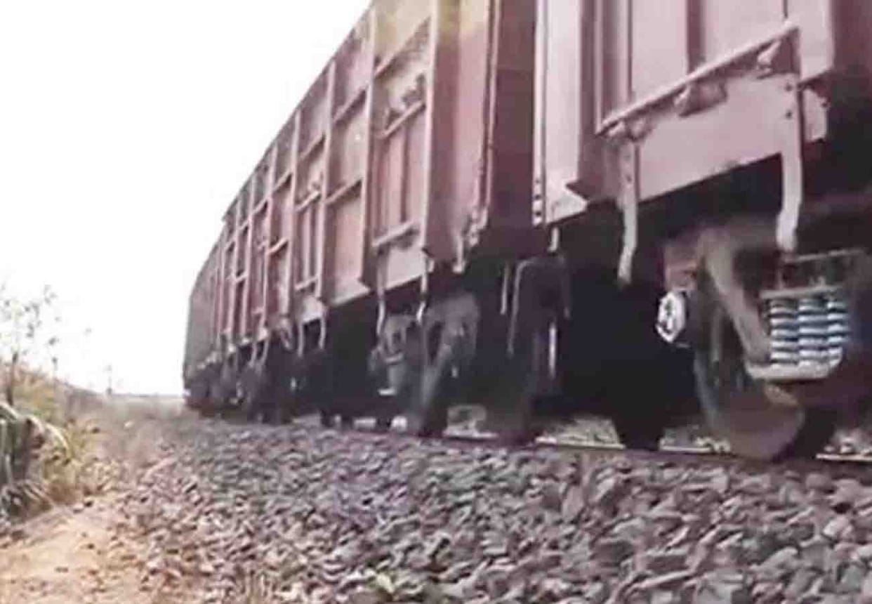 Five cattle fell into the grip of goods train