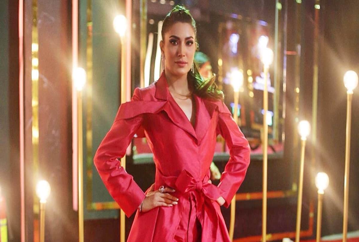 pakistani actress mehwish hayat comment on Hollywood and Bollywood