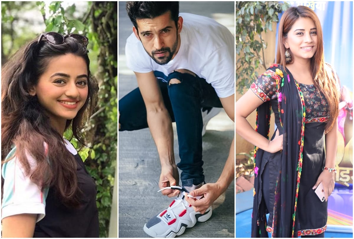 TV celebs reaction on independence day