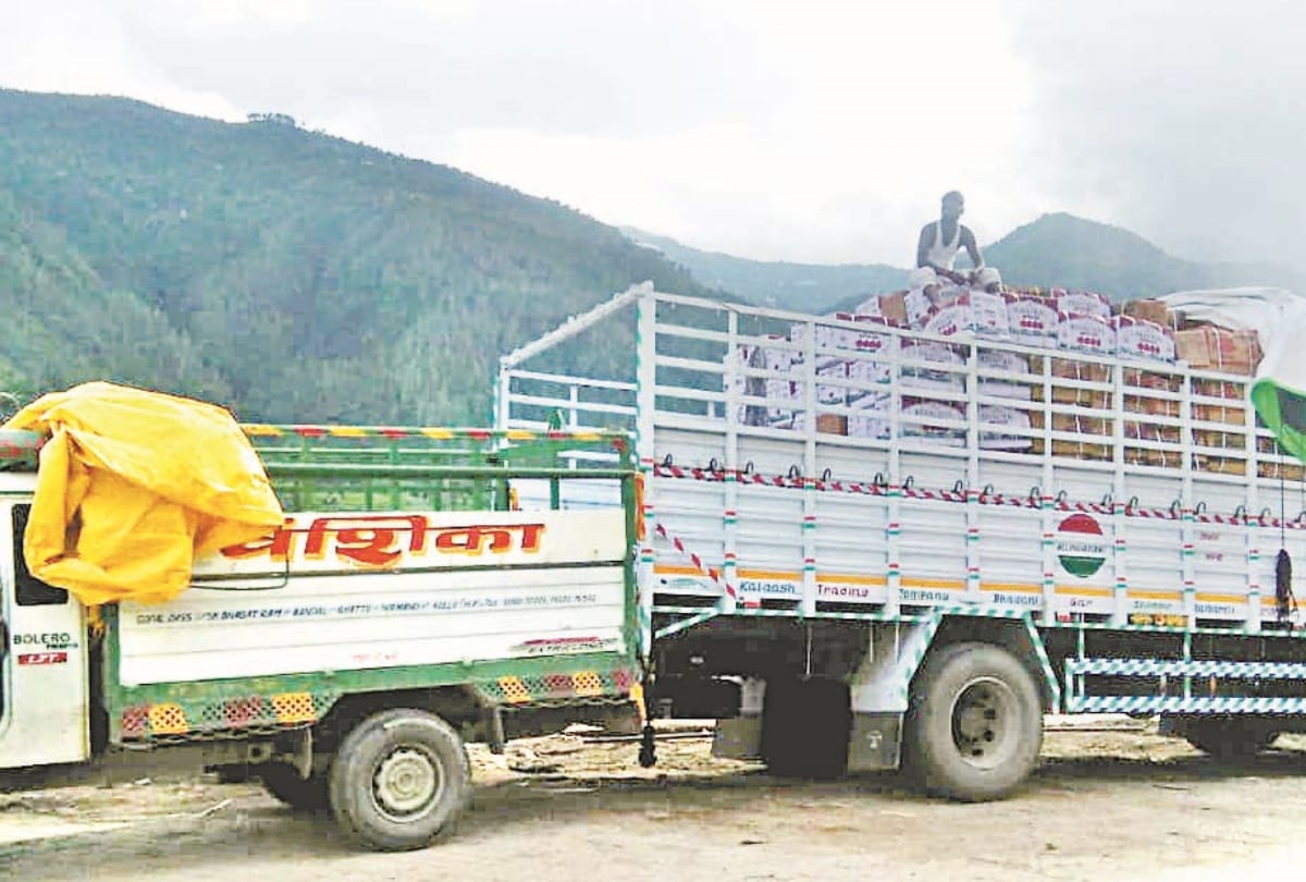 kinnaur apple reached in market shimla himachal pradesh