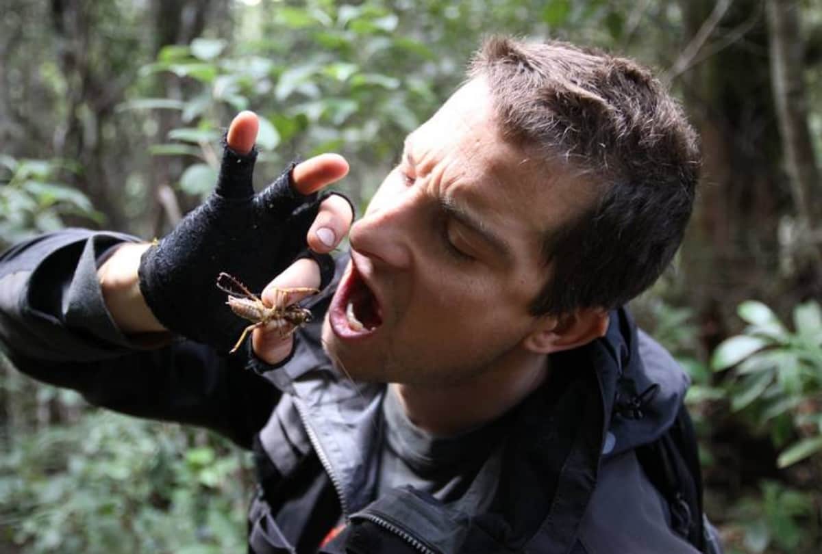 rajinikanth injured during man vs wild with bear grylls in karnataka