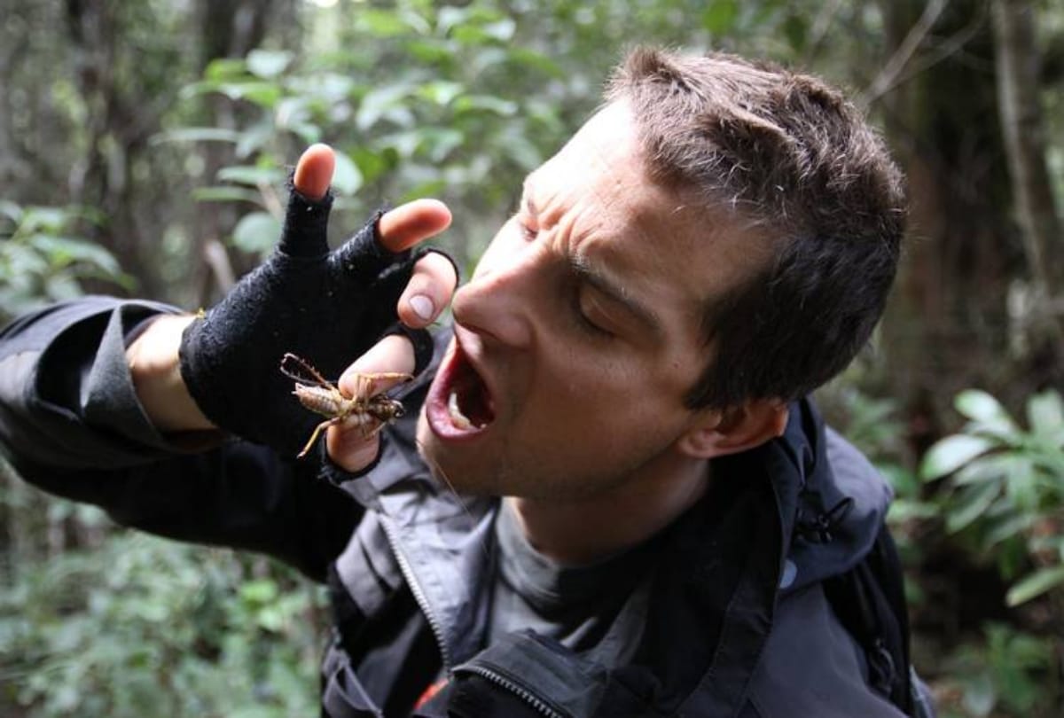 rajinikanth injured during man vs wild with bear grylls in karnataka