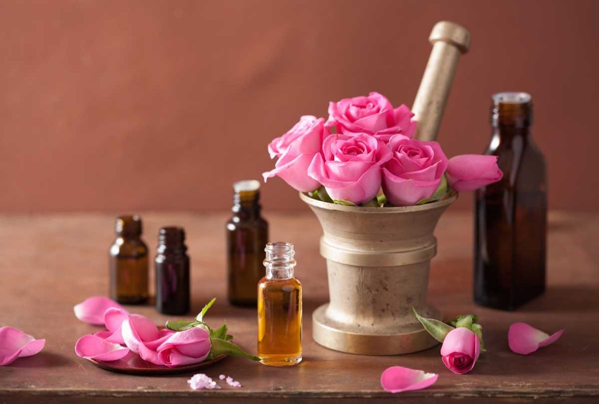 Rose day 2020: benefits of rose is good for better sleep and study say research report