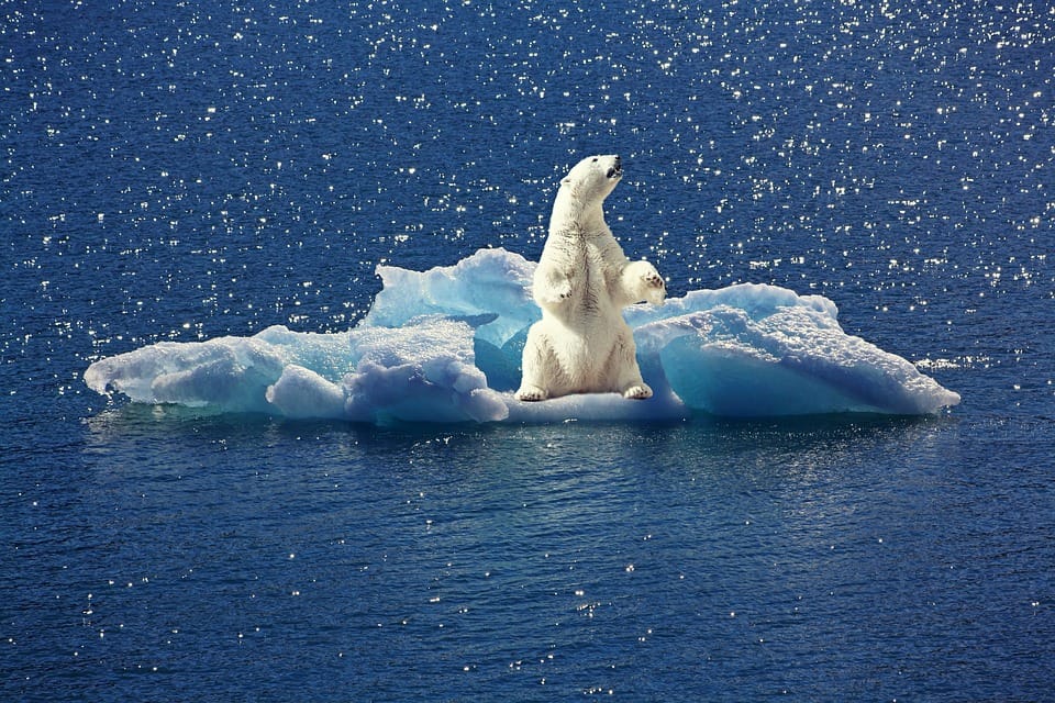 Climate change and Development of water, forest and land should not become destruction