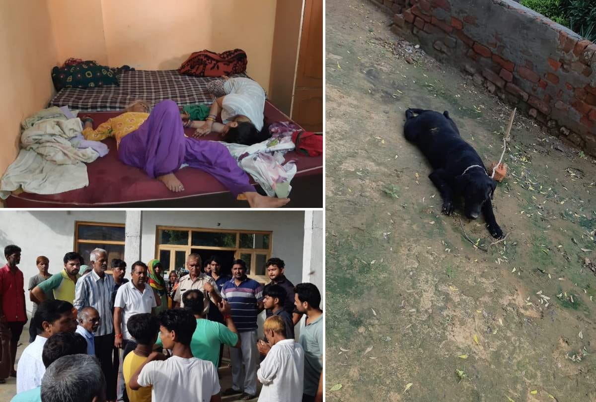 Theft in Faridabad house family members and pet dog fainted by thiefs