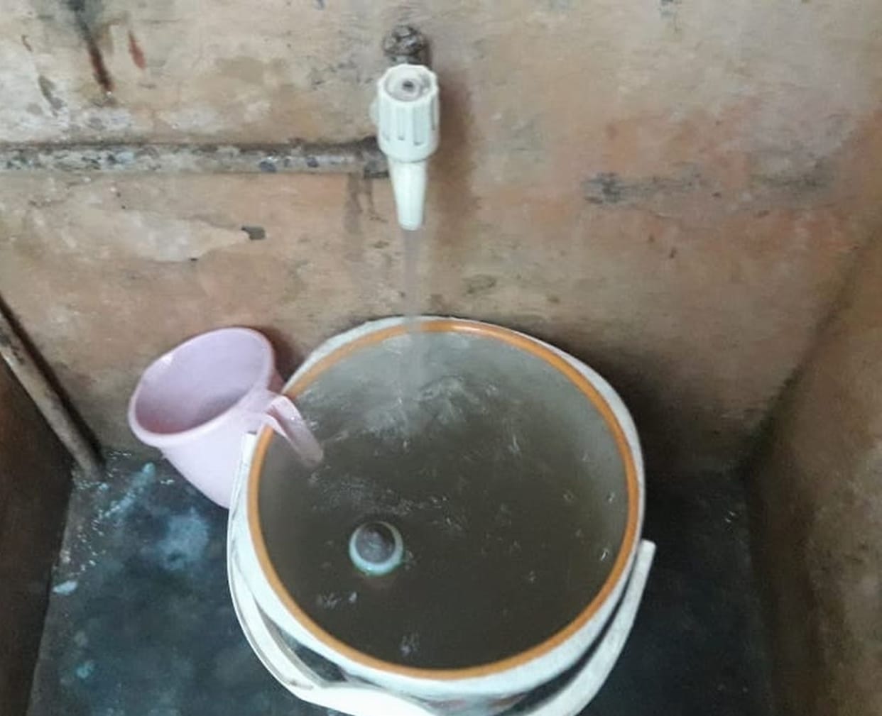 amarind Road Mohalla: Insects coming in the water